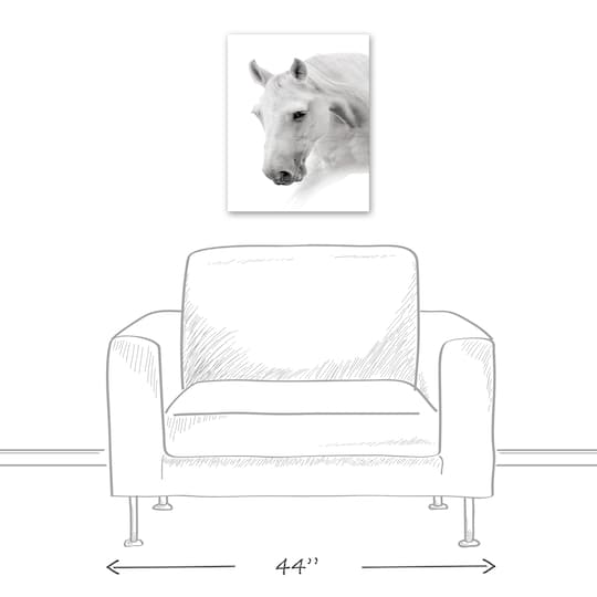 Black And White Horse 16" x 20" Canvas Wall Art